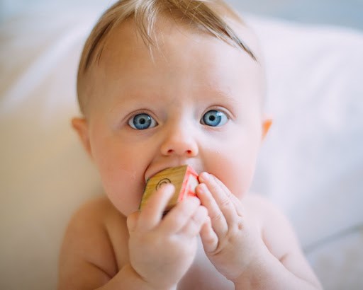 Blue-eyed baby holding block in mouth