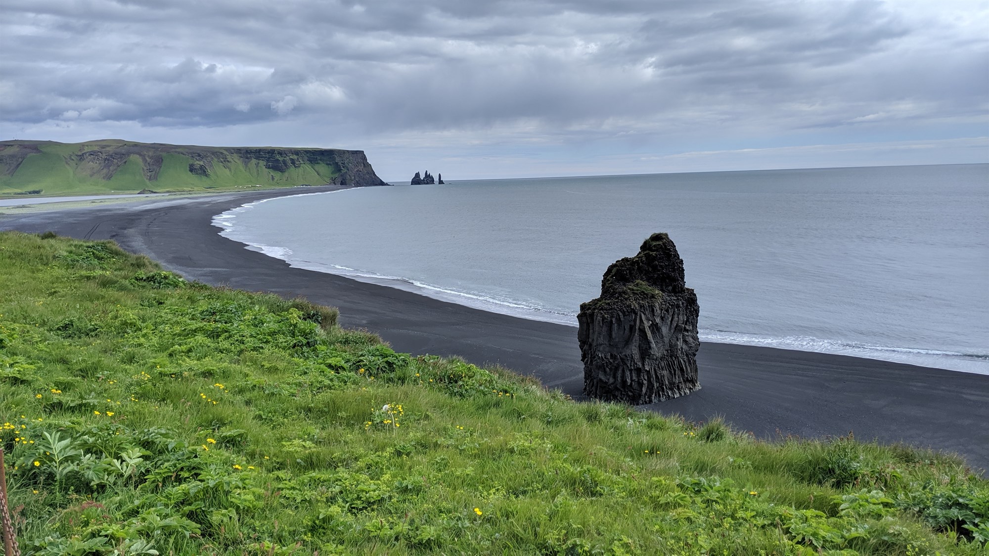 Reynisfjara black sand beach in Icelandic summer.