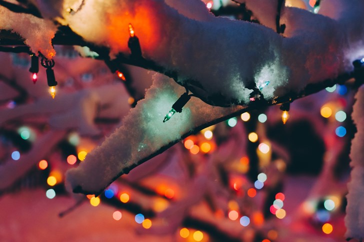 Christmas lights in snowy branches in Icelandic Winter.