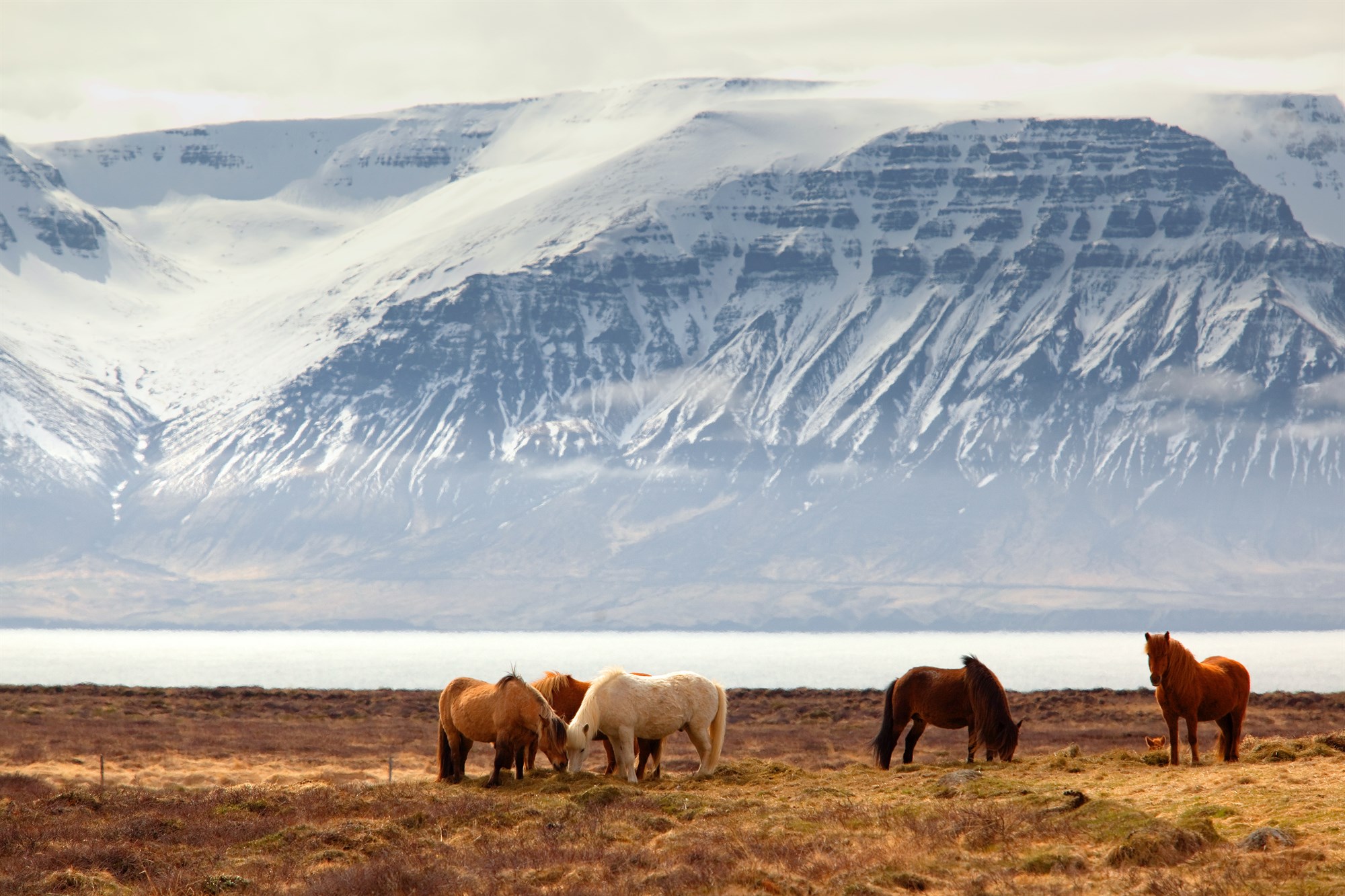 Why to visit Iceland in 2018